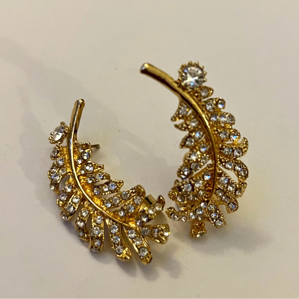 Cuff earnings